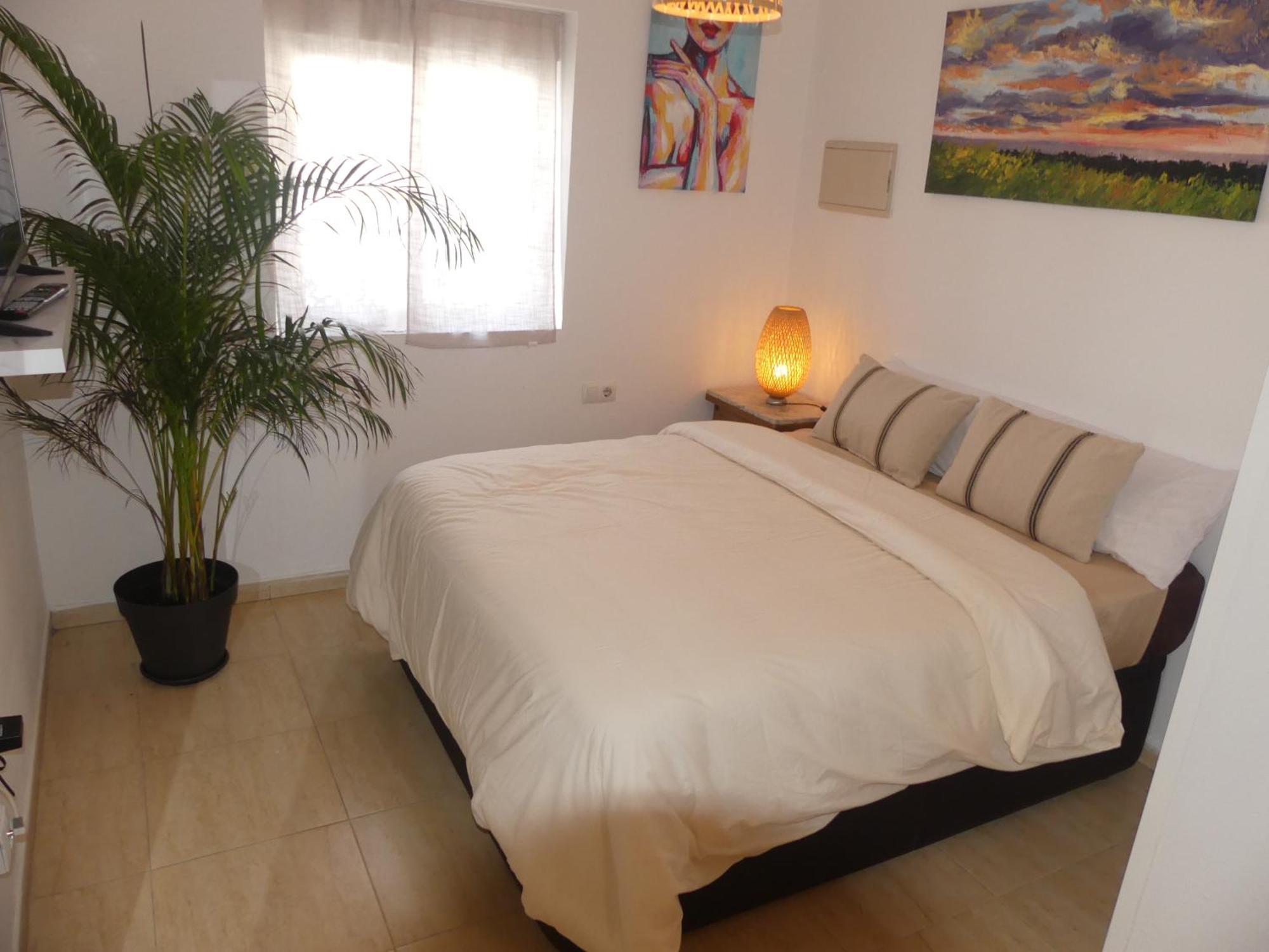 Alquiler Casa Semi Centro Obra Nueva Patio Barata Appartamento *